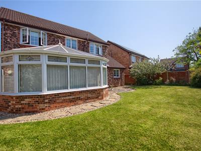 Picture 19